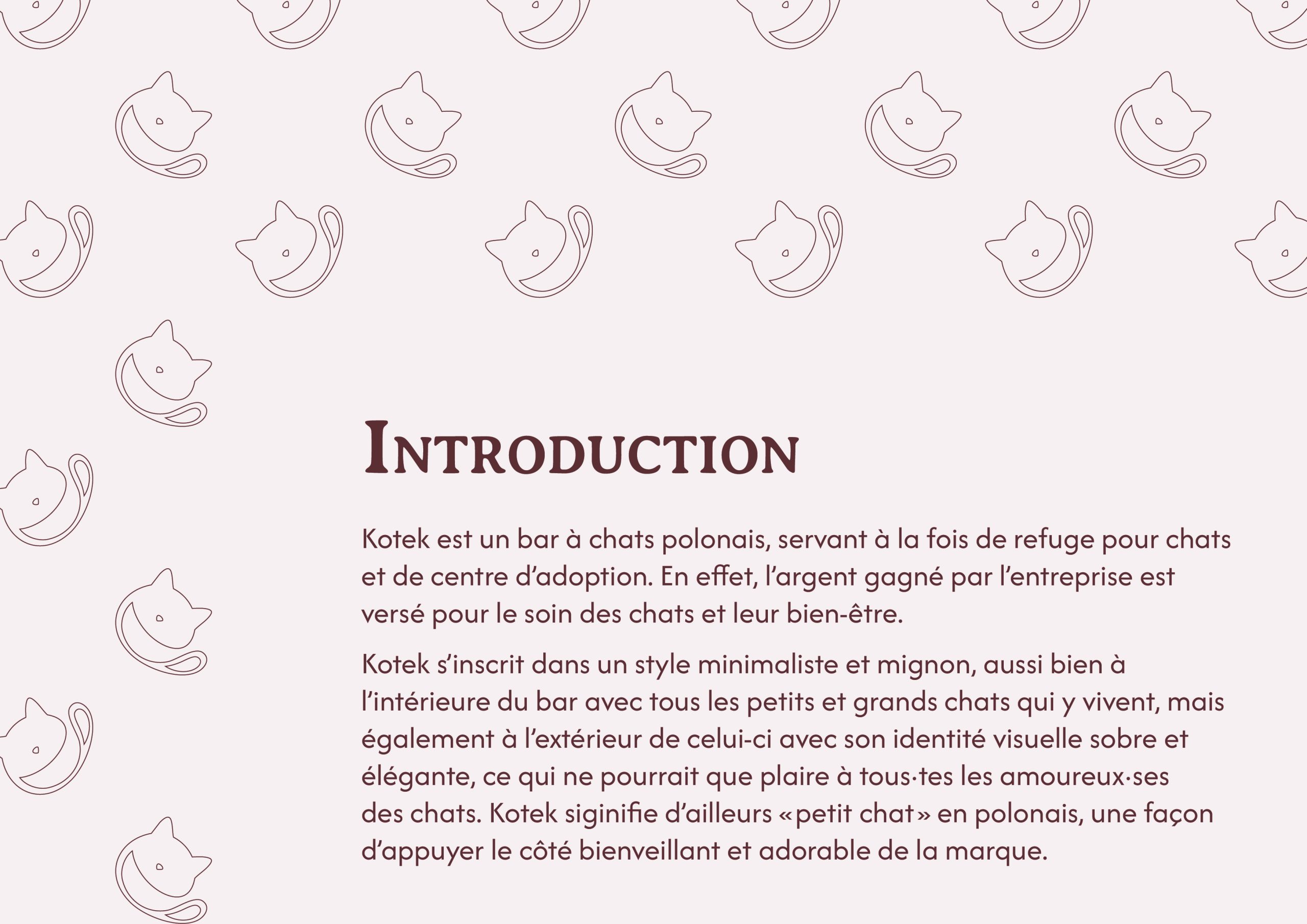 JozefowiczLoann-T3 Charte graphique_02