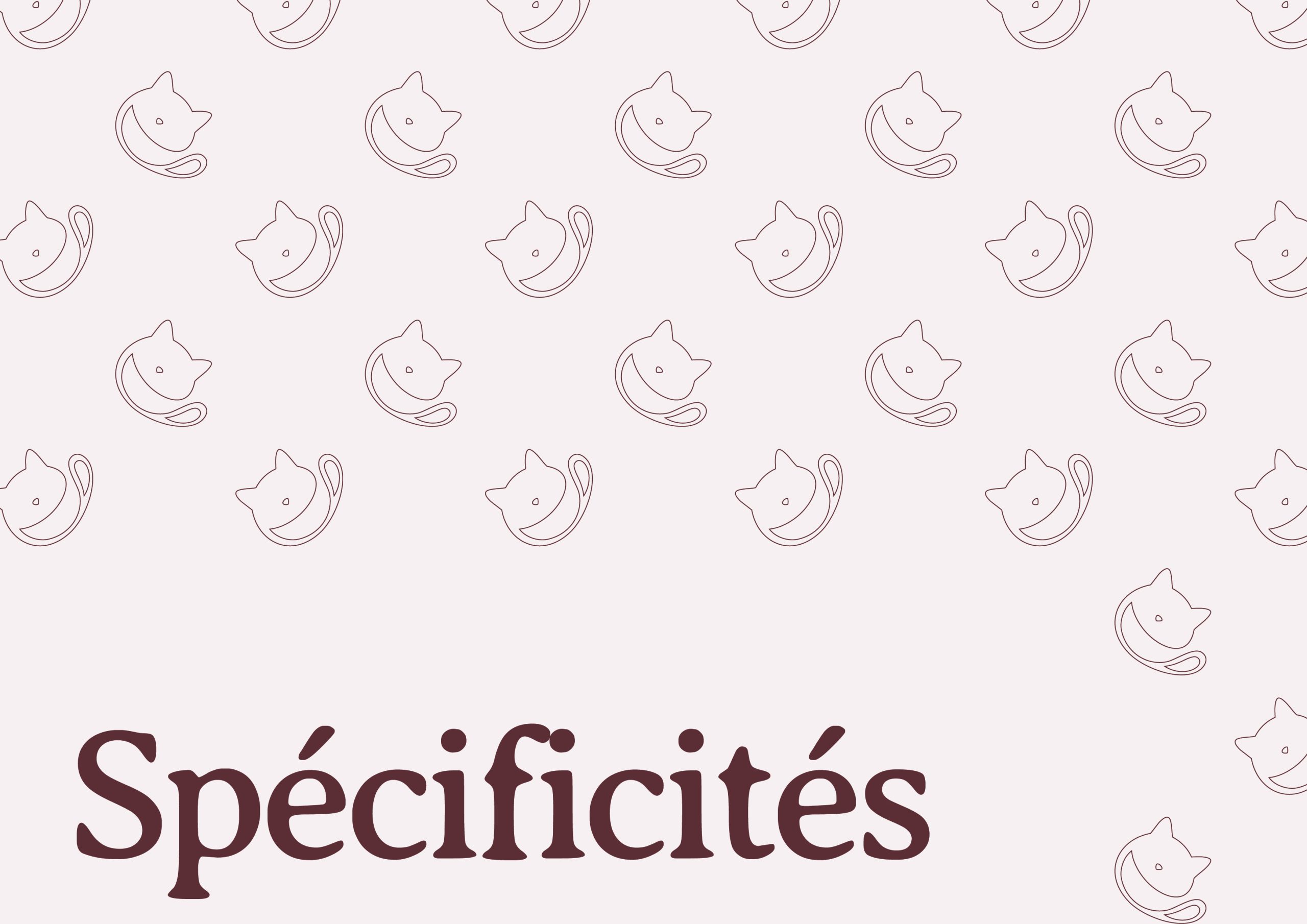 JozefowiczLoann-T3 Charte graphique_23